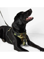 Mission Ready Harness 2.0 Woodland Camo