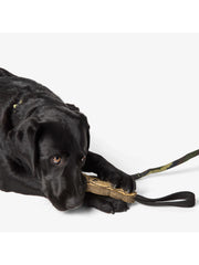 Mission Ready™ Gnome Ops Dog Tug Toy