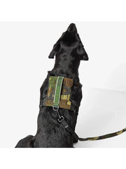 Mission Ready Harness 2.0 Woodland Camo